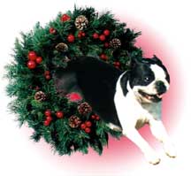 Rose - Xmas Wreath