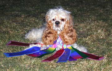 Mindy with Ribbons